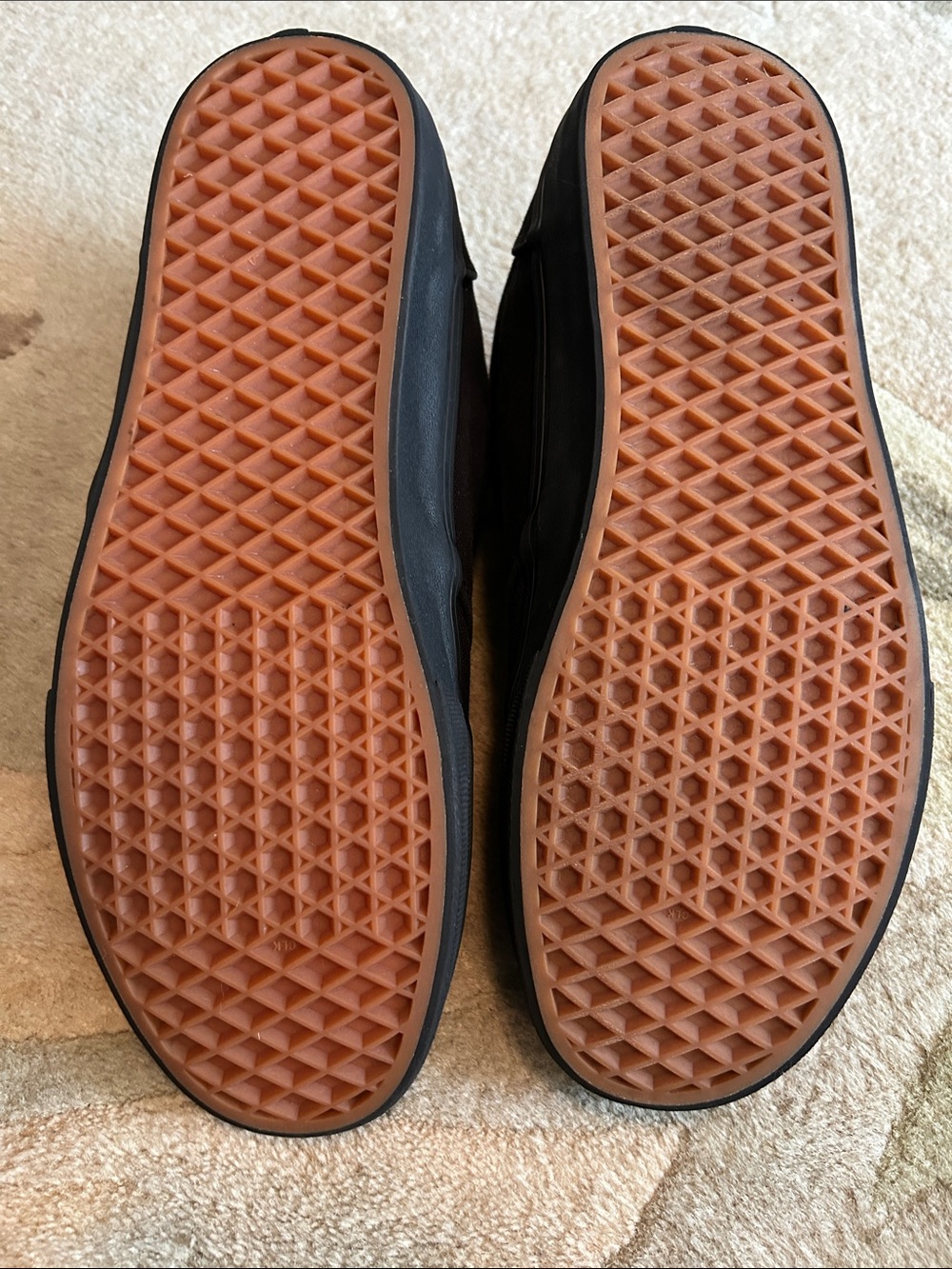 Vans Black Canvas Low-Top Skate Sneakers - Picture 4 of 9